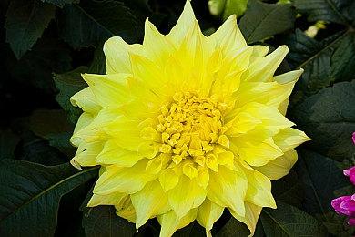 玩家请愿《霍格沃茨之遗》续作不要变成实时服务游戏